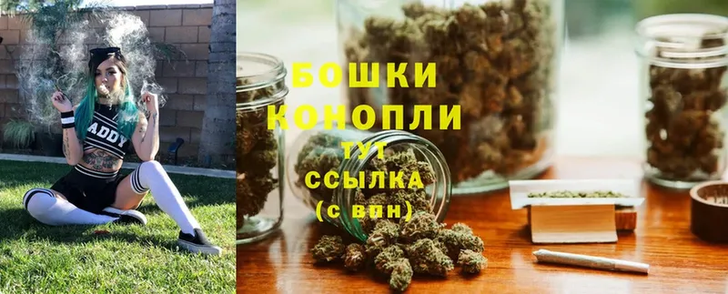 закладка  Дальнереченск  Бошки Шишки White Widow 